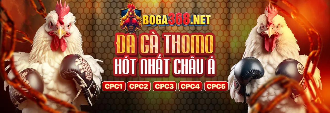 Đá Gà Trực Tiếp Hôm Nay Phát Lại – Trải nghiệm cá cược đỉnh cao tại Vin777